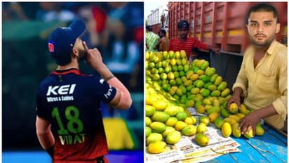 ക്ഷീണം കാണും, ഇനി കുറച്ച് ആപ്പിള് കഴിക്കൂ! നവീന് ഉള് ഹഖിന് പരിഹാസം; കളി കോലിയോട് വേണ്ടെന്ന് ആരാധകര്