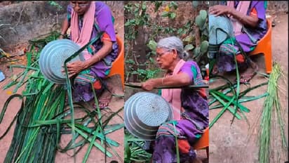 ತೆಂಗಿನ ಗರಿಯ ಪೊರಕೆ ಮಾಡುವ ಸುಲಭ ವಿಧಾನ: ಅಜ್ಜಿಯ ವೀಡಿಯೋ ಸಖತ್ ವೈರಲ್