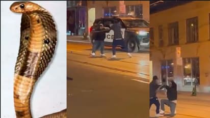 ಹಾವನ್ನೇ ಹಗ್ಗದಂತೆ ಬಳಸಿ ಹೊಡೆದಾಟ: ಯುವಕನ ಜೈಲಿಗಟ್ಟಿದ ಪೊಲೀಸರು