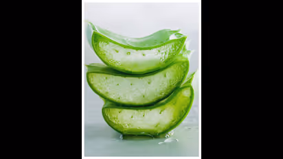 குழந்தைகளுக்கு கற்றாழை பயன்படுத்தி இத்தனை விஷயம் பண்ணலாம்... டயப்பர் போடுற குழந்தைகளுக்கு இத்தனை நன்மைகளா!!