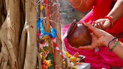 Vat savitri vrat 2023 shubh yog