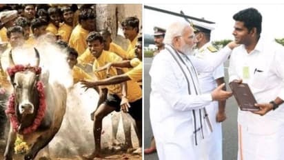 ஜல்லிக்கட்டு போட்டி அனுமதிக்காக தொடக்கம் முதல் இன்று வரை குரல் கொடுத்தது மோடி மட்டுமே..! அண்ணாமலை திட்டவட்டம்