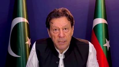 chief Imran Khan