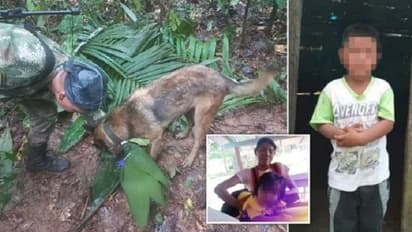 ವಿಮಾನ ಪತನದಲ್ಲೂ ಬದುಕುಳಿದ ಮಕ್ಕಳು, ಅಮೆಜಾನ್​ ಕಾಡಿನಲ್ಲಿ 17 ದಿನದ ಬಳಿಕ ಪವಾಡ..!