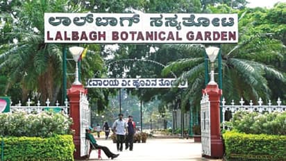 ಬೆಂಗಳೂರು: 1.5 ತಿಂಗಳಲ್ಲಿ ಲಾಲ್ಬಾಗ್ಗೆ 2.5 ಲಕ್ಷ ಜನ ಭೇಟಿ..!