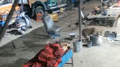 ഉറങ്ങിക്കിടന്ന നായയെ കടിച്ചെടുത്ത് പുള്ളിപ്പുലി; അമ്പരപ്പിക്കുന്ന വീഡിയോ