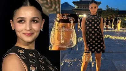 అవును బ్యాగ్ ఖాళీగా ఉంది ఏం చేయమంటావ్.. నెటిజన్ కు ఆలియా భట్ కౌంటర్..