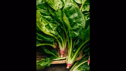 ಪಾಲಕ್ ಸೊಪ್ಪು ತಿನ್ನೋಕೆ ಮಾತ್ರವಲ್ಲ… ಕೂದಲು, ತ್ವಚೆ ಹೊಳಪಿಗೂ ತಪ್ಪದೇ ಬಳಸಬೇಕು!