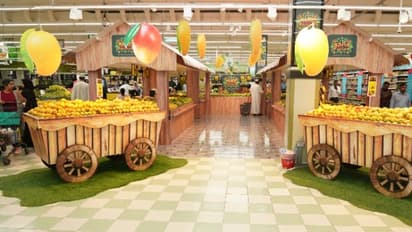 അറുപതിലധികം ഇനം മാമ്പഴങ്ങളുമായി ഒമാനില്‍ മാംഗോ മാനിയ ഫെസ്റ്റിവൽ 2023ന് തുടക്കമായി