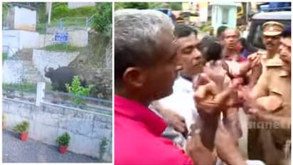 കണമല കാട്ടുപോത്ത് ആക്രമണം; പ്രതിഷേധിച്ചവർക്കെതിരെ കേസ്; കണ്ടാലറിയാവുന്ന 45 പേർക്കെതിരെ കേസ്