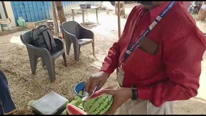 தென்காசியில் ஊசி மூலம் பழுக்க வைக்கப்பட்ட 100 கிலோ தர்புசணி பழங்கள் அழிப்பு