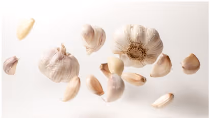 ദിവസവും രണ്ടോ മൂന്നോ പച്ച വെളുത്തുള്ളി കഴിക്കൂ, ആരോഗ്യ ഗുണങ്ങളേറെ