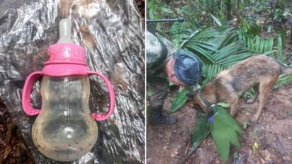 விமான விபத்தில் சிக்கிய குழந்தைகள்.. 17 நாட்களுக்கு பின் உயிருடன் மீட்பு.. என்ன நடந்தது?