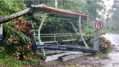 കനത്ത മഴയും കാറ്റും; തെങ്ങ് കടപുഴകി വീണ് ബസ് സ്റ്റോപ്പിലിരുന്ന വിദ്യാർത്ഥിക്ക് ഗുരുതര പരിക്ക്