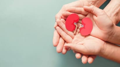 Health Tips :  വൃക്കകളുടെ ആരോ​ഗ്യത്തിനായി കഴിക്കാം അഞ്ച് ഭക്ഷണങ്ങൾ 