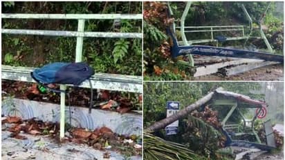 അപകടം വിതച്ച് കനത്ത മഴ, ബസ് സ്റ്റാൻഡിന് മുകളിലേക്ക് തെങ്ങ് മറിഞ്ഞുവീണു; ഐടിഐ വിദ്യാർത്ഥിക്ക് ഗുരുതര പരിക്ക്