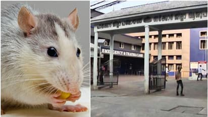 പാലക്കാട് ജില്ലാ ആശുപത്രിയിൽ 92.63 ലക്ഷം രൂപയുടെ എക്സ് റേ യൂണിറ്റ് എലി കരണ്ടു, നേരെയാക്കാൻ വേണം 30 ലക്ഷം!