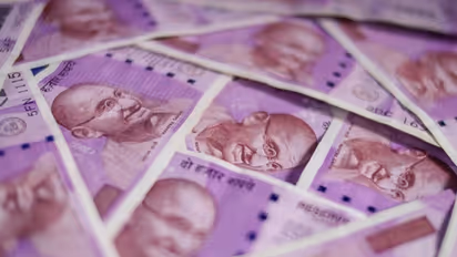 No form or identity proof required for exchanges of Rs 2,000 notes: SBI