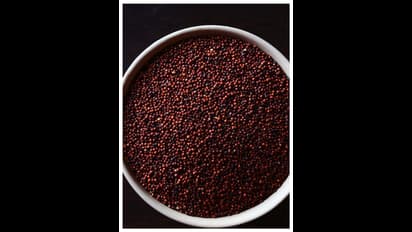 ആരോഗ്യകരവും രുചികരവും ; റാ​ഗിയുടെ ഈ ​ഗുണങ്ങൾ അറിയാതെ പോകരുത് 