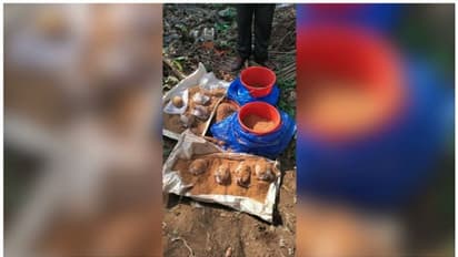 കണ്ണൂരിൽ ഉഗ്രശേഷിയുള്ള 8 നാടൻബോംബുകൾ കണ്ടെത്തി; കലുങ്കിനടിയിൽ ചാക്കിൽ കെട്ടി സൂക്ഷിച്ച നിലയിൽ