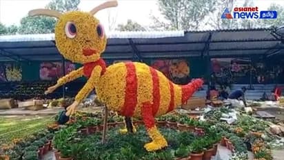 Flower show: ஏற்காட்டில் கோடை விழா! - ஏற்காடு போறவங்க இந்த வழிகளை ஃபாலோ செய்யுங்க.. ஈஸியா போகலாம்!