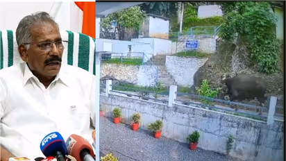 സേവ് ചെയ്ത് വച്ചോ, 18004254733 , വന്യജീവി ആക്രമണമുണ്ടായാൽ ഈ ടോൾ ഫ്രീ നമ്പരിലേക്ക് വിളിക്കാം, സഹായം ഉറപ്പ്