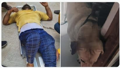 కుక్క దాడి నుంచి తప్పించుకునేందుకు మూడో అంతస్తు నుంచి దూకిన డెలివరీ ఏజెంట్.. హైదరాబాద్ లో ఘటన