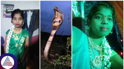 ಮಲಗಿದ್ದಾಗ ಹಾವು ಕಚ್ಚಿದೆ ಅಂದ್ರೂ ಆಸ್ಪತ್ರೆಗೆ ಸೇರಿಸಲಿಲ್ಲ: ಎದ್ದೇಳುವಷ್ಟರಲ್ಲಿ ಹೆಣವಾಗಿದ್ದ ಮಗಳು 