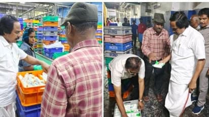 சலசலப்புகளுக்கு பால் உற்பத்தியாளர்கள் அஞ்ச வேண்டாம்..! கோரிக்கையை நிறைவேற்றும் பணி தொடங்கியாச்சு- மனோ தங்கராஜ்