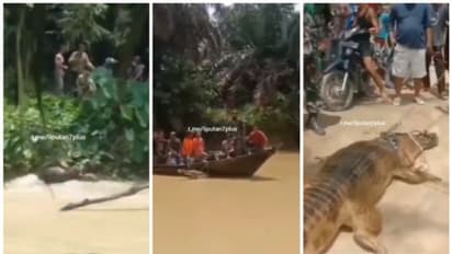 തുണി അലക്കുന്നതിനിടെ മകളുടെ കാലില്‍പ്പിടിത്തമിട്ട് മുതല; പുഴയിലേക്ക് എടുത്ത് ചാടി മകളെ രക്ഷപ്പെടുത്തി അമ്മ  