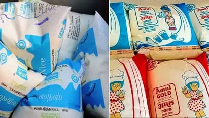 AMUL : இனியும் ஆவினையும், தமிழ்நாடு அரசையும் நம்பி பலனில்லை "அமுல் வந்தால் வரவேற்போம்."- பால் முகவர்கள் அதிரடி