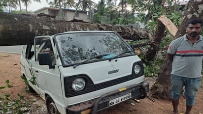 ಚಿಕ್ಕಮಗಳೂರಲ್ಲಿ ಮಳೆ ಅಬ್ಬರ: ಓಮ್ನಿ ಮೇಲೆ ಬಿದ್ದ ಮರ, ತಪ್ಪಿದ ಭಾರೀ ಅನಾಹುತ..!