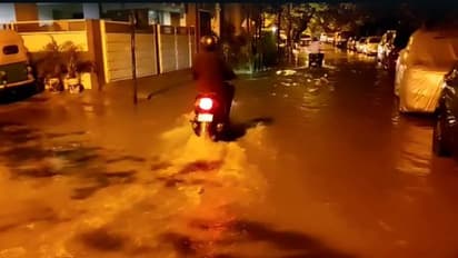 ಬೆಂಗಳೂರಿನಲ್ಲಿ ಮುಂದುವರಿದ ಮಳೆರಾಯನ ಅಬ್ಬರ: ಮತ್ತೆ 20ಕ್ಕೂ ಅಧಿಕ ಮರ ಧರೆಗೆ