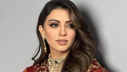 യുവ നടൻ മോശമായി പെരുമാറിയെന്ന് വാര്ത്ത, പ്രതികരിച്ച് നടി ഹൻസിക