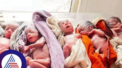 ಅಬ್ಬಬ್ಬಾ..ಏಕಕಾಲಕ್ಕೆ ಐದು ಹೆಣ್ಣು ಮಕ್ಕಳಿಗೆ ಜನ್ಮ ನೀಡಿದ ಮಹಾತಾಯಿ!