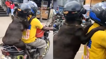 ആരാണ് ഹെല്മറ്റൊക്കെ വച്ച് ബൈക്കില് പോകുന്നതെന്ന് നോക്കിക്കേ; വീഡിയോ...