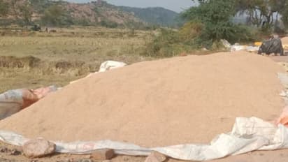 ಯಾದಗಿರಿ: ಭತ್ತ ಧಾರಣೆ ಕುಸಿತ, ಅನ್ನದಾತ ಕಂಗಾಲು