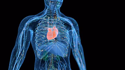 Here are five very useful ingredients to boost your immunity