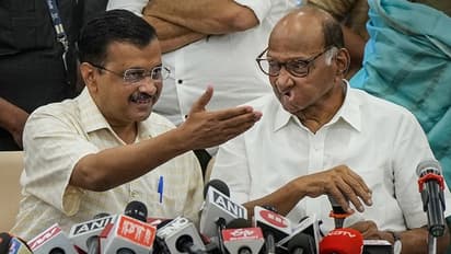 'If non-BJP parties unite, they can defeat bill on Centre's ordinance': CM Kejriwal gets NCP's support