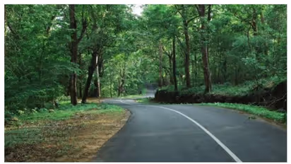 വിനോദ സഞ്ചാരികളുടെ തിരക്ക്; വാഴച്ചാൽ- മലക്കപ്പാറ റൂട്ടിലെ ഗതാഗത നിയന്ത്രണം പിൻവലിച്ചു