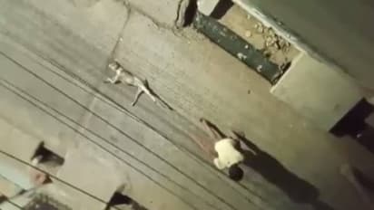 தெரு நாயை கொன்று, கயிற்றால் கட்டி, 100 மீட்டர் இழுத்துச் சென்ற கொடூர நபர்! அதிர்ச்சி சம்பவம்