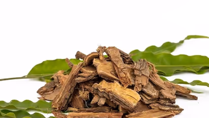 கையில் எந்தெந்த மரத்தின் வேரை கட்டினால் நல்லது நடக்கும் தெரியுமா? 