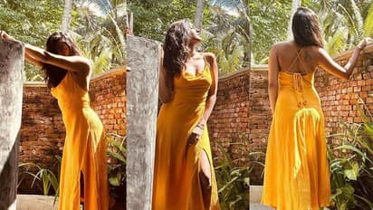 తోట బంగ్లాలో సూపర్ హాట్ గా నిహారిక... సూర్య కిరణాలకు అందాలు ఆరేస్తూ టెంప్టింగ్ ఫోజులు!