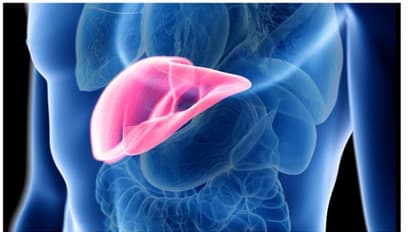 കരൾരോഗമുള്ളവർ ഡയറ്റിൽ ഉൾപ്പെടുത്തേണ്ട 5 സൂപ്പർ ഫുഡുകൾ