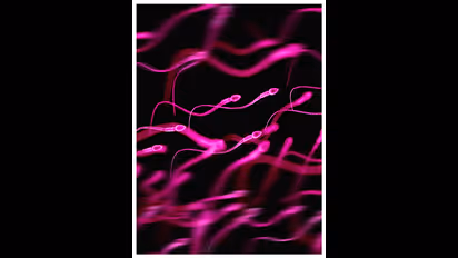 Health Tips: ఈ ఆహారంపై దృష్టి పెట్టండి.. లేదంటే జీవితం నాశనమే!