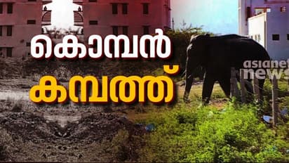 കമ്പം ടൗണിലിറങ്ങിയ അരിക്കൊമ്പൻ ഓട്ടോറിക്ഷ തകർത്തു, ജനങ്ങളെ ഓടിച്ചു; വെടിവെച്ച് തുരത്താൻ ശ്രമം