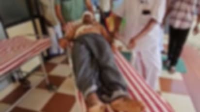 റബ്ബർ ടാപ്പിങിനിടെ കാട്ടുപോത്ത് ആക്രമണം; സംസാരശേഷിയില്ലാത്ത യുവാവിന് ഗുരുതര പരിക്ക്