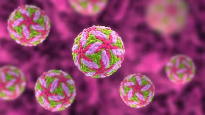 அடுத்த ஆபத்து? Powassan என்ற கொடிய வைரஸால் ஒருவர் பலி.. என்னென்ன அறிகுறிகள்? என்ன சிகிச்சை?