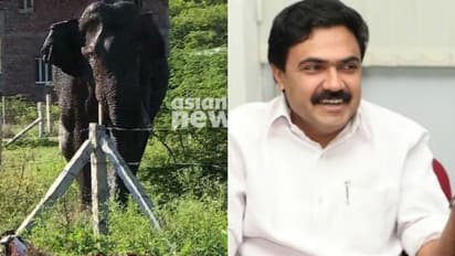 അരിക്കൊമ്പൻ പരാജയപ്പെട്ട പരീക്ഷണം, വന്യമൃഗസംരക്ഷണനിയമം ഭേദഗതി ചെയ്യണമെന്നും ജോസ് കെ മാണി