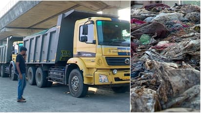 ഇടുക്കിയില് നിന്ന് ലോറികളില് മാലിന്യമെത്തിച്ച് കളമശേരിയില് തള്ളാന് ശ്രമം; പിടികൂടി നഗരസഭ